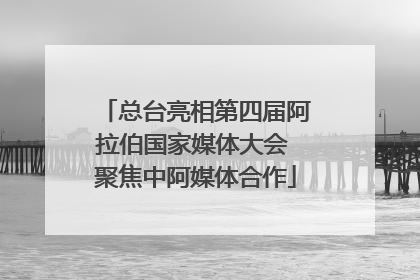 总台亮相第四届阿拉伯国家媒体大会 聚焦中阿媒体合作