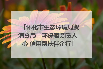 怀化市生态环境局溆浦分局：环保服务暖人心 信用帮扶伴企行