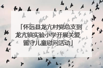 怀远县龙亢村党总支到龙亢镇实验小学开展关爱留守儿童慰问活动
