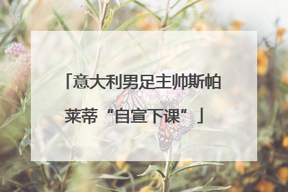 意大利男足主帅斯帕莱蒂“自宣下课”