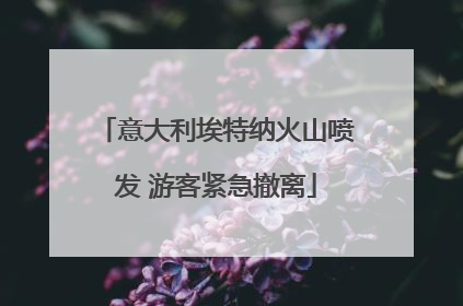 意大利埃特纳火山喷发 游客紧急撤离