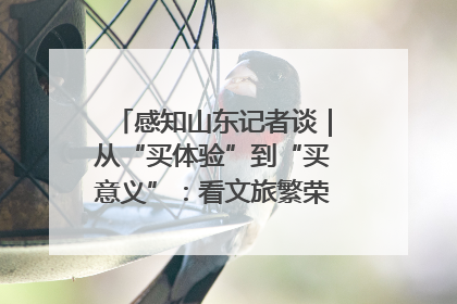 感知山东记者谈｜从“买体验”到“买意义”：看文旅繁荣背后的幸福新定义