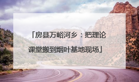 房县万峪河乡：把理论课堂搬到烟叶基地现场