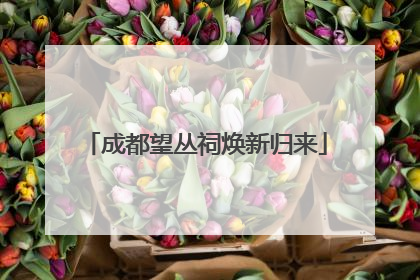 成都望丛祠焕新归来