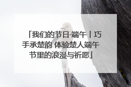 我们的节日·端午丨巧手承楚韵 体验楚人端午节里的浪漫与祈愿