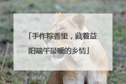 手作粽香里，藏着益阳端午最暖的乡情
