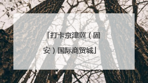打卡京津冀（固安）国际商贸城