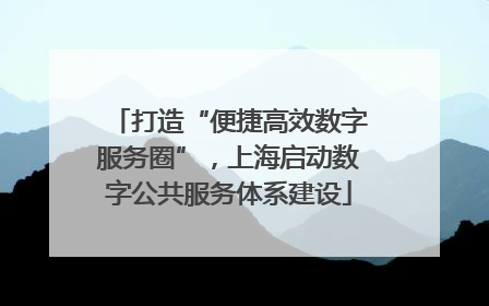 打造“便捷高效数字服务圈”，上海启动数字公共服务体系建设