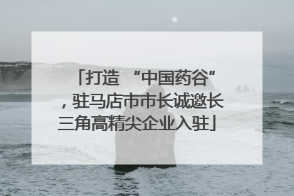 打造 “中国药谷”，驻马店市市长诚邀长三角高精尖企业入驻