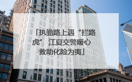执勤路上遇“拦路虎” 江夏交警暖心救助化险为夷