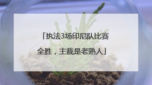 执法3场印尼队比赛全胜，主裁是老熟人
