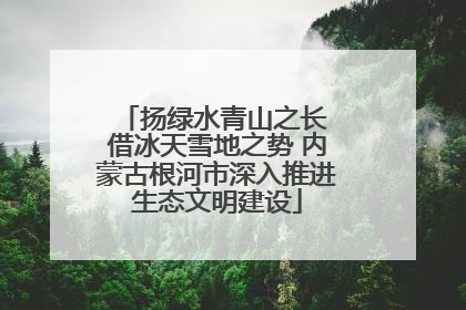 扬绿水青山之长 借冰天雪地之势 内蒙古根河市深入推进生态文明建设