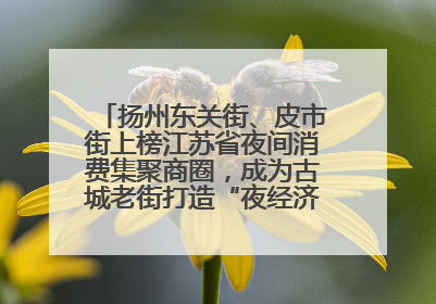 扬州东关街、皮市街上榜江苏省夜间消费集聚商圈，成为古城老街打造“夜经济”的样本