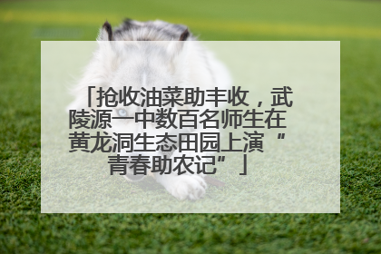 抢收油菜助丰收，武陵源一中数百名师生在黄龙洞生态田园上演“青春助农记”