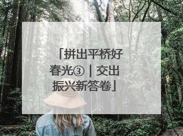 拼出平桥好春光③｜交出振兴新答卷