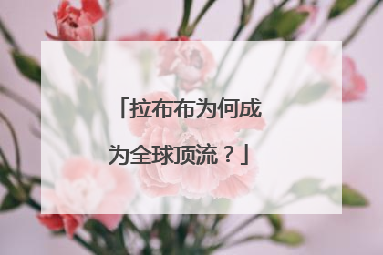 拉布布为何成为全球顶流？