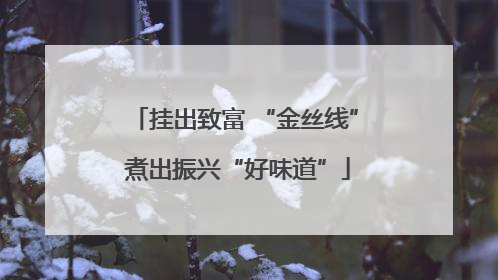 挂出致富 “金丝线” 煮出振兴“好味道”