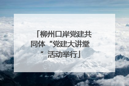 柳州口岸党建共同体“党建大讲堂”活动举行