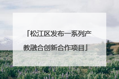 松江区发布一系列产教融合创新合作项目