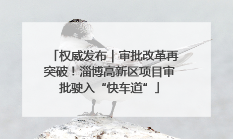 权威发布｜审批改革再突破！淄博高新区项目审批驶入“快车道”