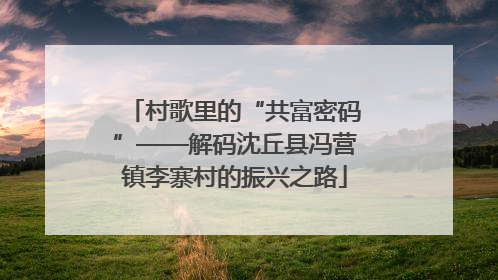 村歌里的“共富密码”——解码沈丘县冯营镇李寨村的振兴之路