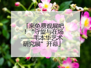 来免费观展吧！“守望与在场——毛本华艺术研究展”开幕