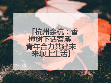 杭州余杭：香樟树下话苕溪 青年合力共建未来坝上生活