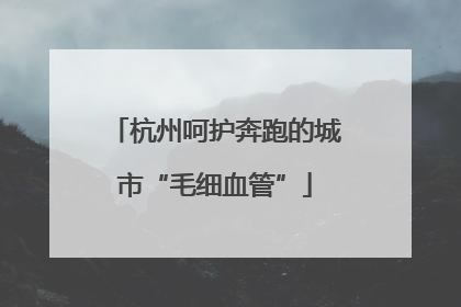 杭州呵护奔跑的城市“毛细血管”