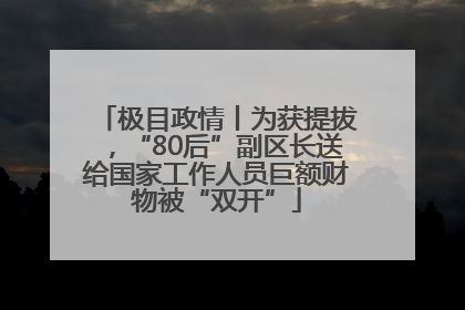 极目政情丨为获提拔，“80后”副区长送给国家工作人员巨额财物被“双开”