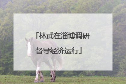 林武在淄博调研督导经济运行