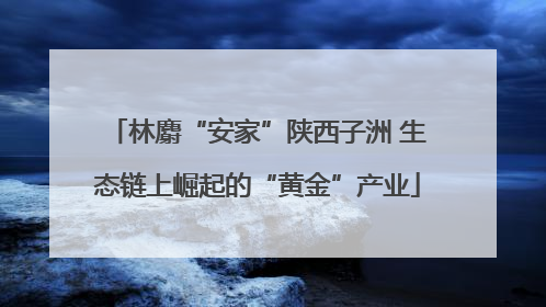 林麝“安家”陕西子洲 生态链上崛起的“黄金”产业