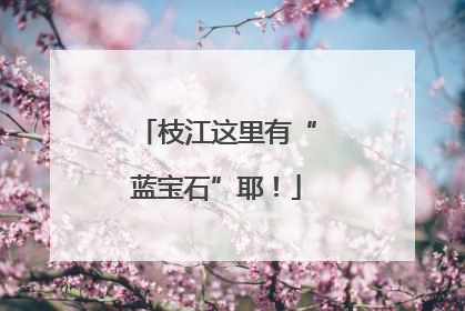 枝江这里有“蓝宝石”耶！