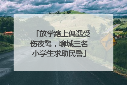 放学路上偶遇受伤夜鹭，聊城三名小学生求助民警