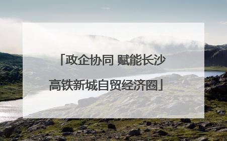 政企协同 赋能长沙高铁新城自贸经济圈