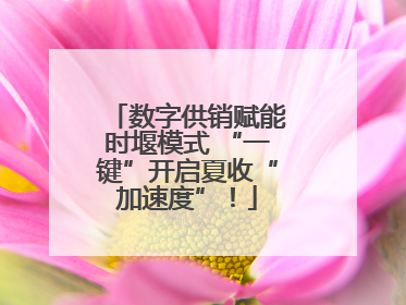 数字供销赋能时堰模式 “一键”开启夏收“加速度”！