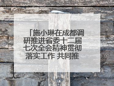 施小琳在成都调研推进省委十二届七次全会精神贯彻落实工作 共同推动文旅深度融合高质量发展 加快打造支柱产业民生产业幸福产业