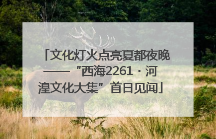 文化灯火点亮夏都夜晚——“西海2261・河湟文化大集”首日见闻