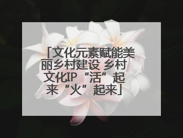 文化元素赋能美丽乡村建设 乡村文化IP“活”起来“火”起来