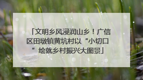 文明乡风浸润山乡！广信区田墩镇黄坑村以“小切口”绘就乡村振兴大图景