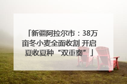 新疆阿拉尔市：38万亩冬小麦全面收割 开启夏收夏种“双重奏”