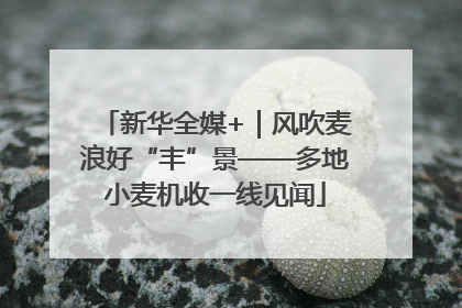 新华全媒+｜风吹麦浪好“丰”景——多地小麦机收一线见闻