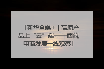 新华全媒+｜高原产品上“云”端——西藏电商发展一线观察
