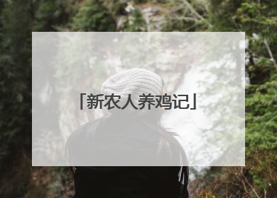 新农人养鸡记