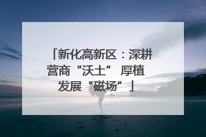 新化高新区：深耕营商“沃土” 厚植发展“磁场”
