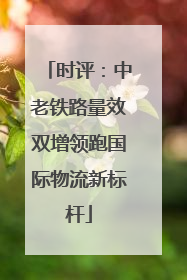 时评：中老铁路量效双增领跑国际物流新标杆