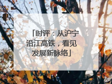 时评：从沪宁沿江高铁，看见发展新脉络