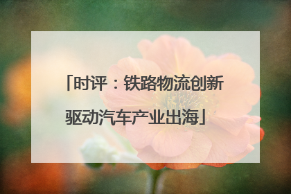 时评：铁路物流创新驱动汽车产业出海