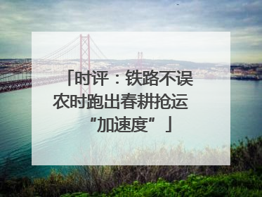时评：铁路不误农时跑出春耕抢运“加速度”