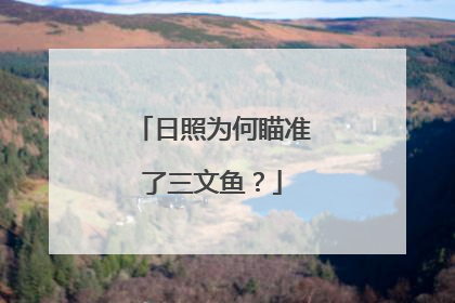 日照为何瞄准了三文鱼？