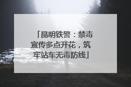 昆明铁警：禁毒宣传多点开花，筑牢站车无毒防线